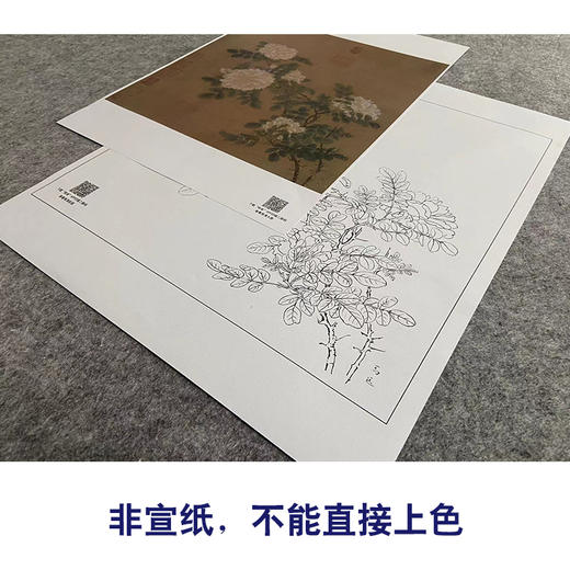 【大彩图】马远工笔画白描底稿宋画小品《白蔷薇图》临摹勾线花鸟线稿GH22 商品图2