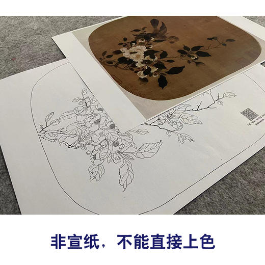 【大彩图】佚名工笔画白描底稿宋画小品《争禽图》白色山茶花临摹勾线花鸟线稿GH17 商品图2
