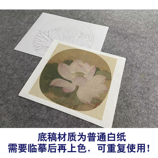 【大彩图】佚名工笔画白描底稿宋画小品《出水芙蓉图》荷花临摹勾线花鸟线稿GH01 商品图3