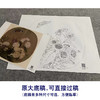 【大彩图】朱绍宗工笔画白描底稿宋画小品《菊丛飞蝶图》菊花蝴蝶临摹勾线花鸟线稿GH05 商品缩略图1