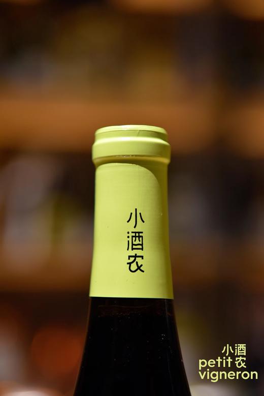 【159任选两件】第227期丨好酒不过百，葡萄酒小白也可以轻松驾驭，小酒农赤霞珠干红葡萄酒2022 商品图3