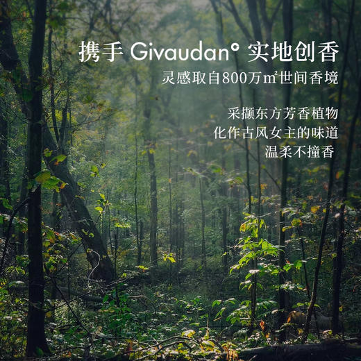 【爆款推荐】原创植物淡香 | 栖溪秘境系列香水 清雅知性留香持久小众 30ml 商品图6