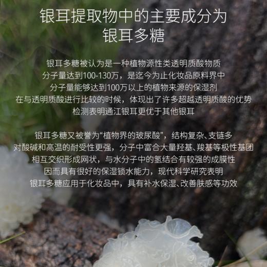 裕德源通江银耳润耳面膜极简白10片装 商品图4