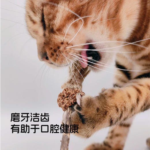 「不趣集」虫瘿果木天蓼玩具万圣节限定-虫瘿果魔法扫把 商品图2
