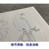 【大彩图】佚名工笔画白描底稿宋画小品《枯树鸜鹆图》临摹勾线花鸟线稿GH15 商品缩略图4