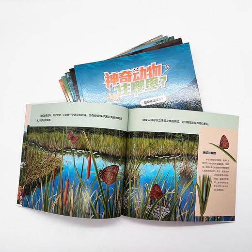 筑桥知识星球·神奇动物住哪里？儿童读物·科普百科 商品图3