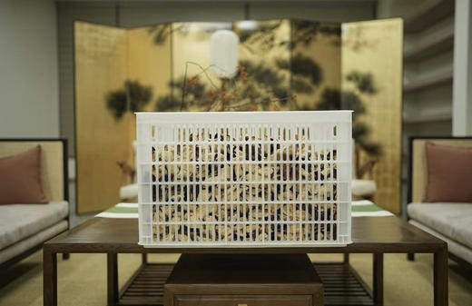 2023年新会天马庄园大红皮6kg 商品图1