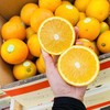 【珍品】云冠橙珍品5kg /件 商品缩略图4