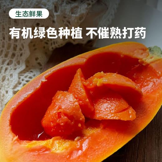 海南红心牛奶木瓜 自然成熟 香甜丝滑 顺丰包邮 商品图4
