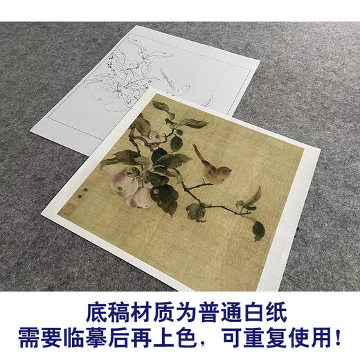 【大彩图】林椿工笔画白描底稿宋画小品《果熟来禽图》桃枝临摹勾线花鸟线稿GH08 商品图3
