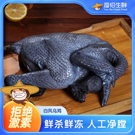 严选 | 农家散养白凤乌鸡700g*3只 已净膛处理 营养丰富 食补好食材 商品图0