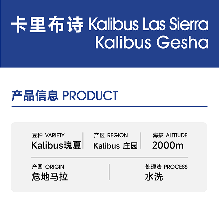 生豆｜卡里布诗庄园｜卡里布诗瑰夏 水洗