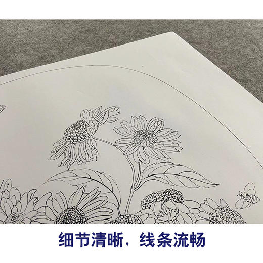 【大彩图】朱绍宗工笔画白描底稿宋画小品《菊丛飞蝶图》菊花蝴蝶临摹勾线花鸟线稿GH05 商品图4