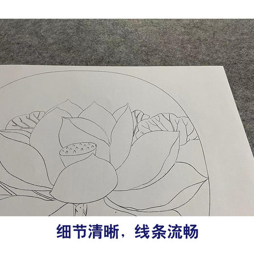【大彩图】佚名工笔画白描底稿宋画小品《出水芙蓉图》荷花临摹勾线花鸟线稿GH01 商品图4