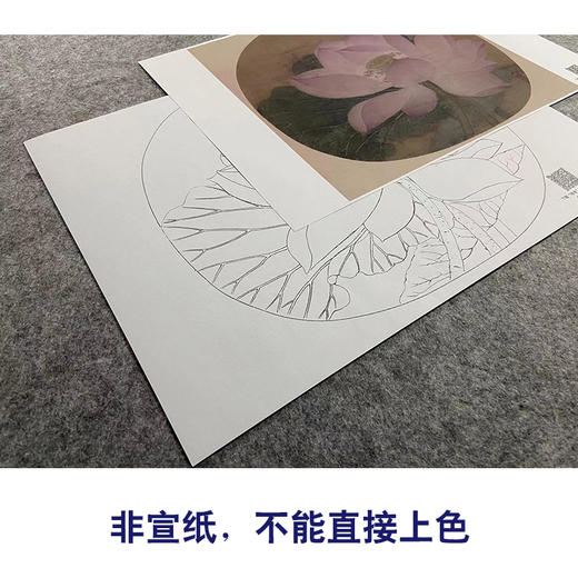 【大彩图】佚名工笔画白描底稿宋画小品《出水芙蓉图》荷花临摹勾线花鸟线稿GH01 商品图2