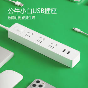 安巢 公牛延长线插座（带电源适配器）GNV-UUA123X