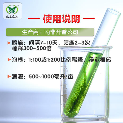 艾格富  南非独有的昆布属巨型海藻，含丰富的植物生长活性剂，营养元素及其他生物活性物质 商品图2