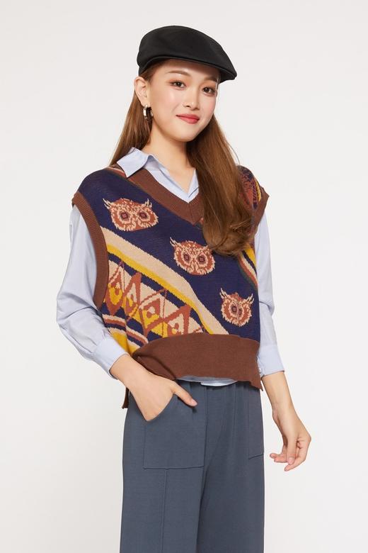 HAYES 复古文艺咖色猫头鹰针织马甲 9490 商品图0