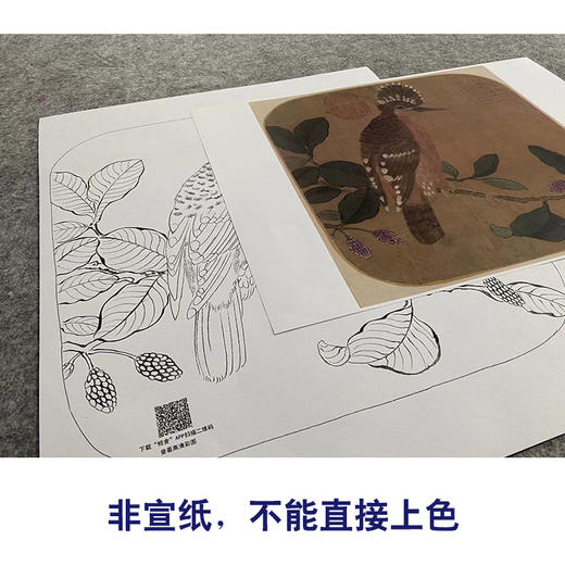 【大彩图】赵佶工笔画白描底稿宋画小品《戴胜图》戴胜鸟临摹勾线花鸟线稿GH16 商品图2