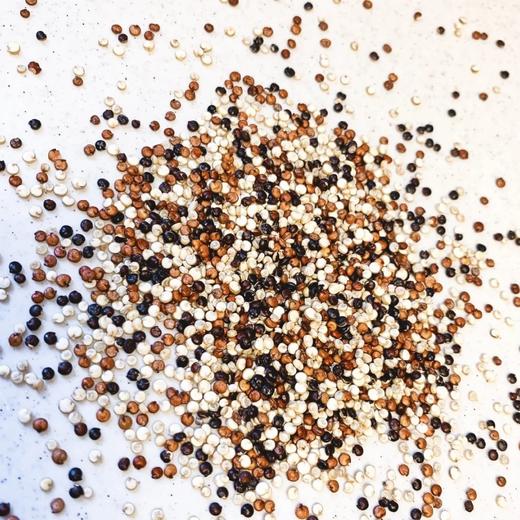 高原三色藜麦     500g/罐 *2 商品图2