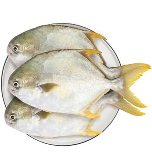 【年货好物！鲜禾鲜海鲜礼盒套装】鲜禾鲜 海捕小将国产海鲜礼盒 C款 2900g -52伴手礼 商品图4