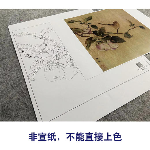 【大彩图】林椿工笔画白描底稿宋画小品《果熟来禽图》桃枝临摹勾线花鸟线稿GH08 商品图2