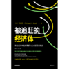中信出版 | 被追赶的经济体 商品缩略图2