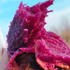 24年新货【溏心紫芋薯  4.5斤】| 超润不拔干，好像在吃紫薯奶油，满满花青素，为烤而生的紫薯，春夏秋冬减脂餐的颜值担当 商品缩略图1