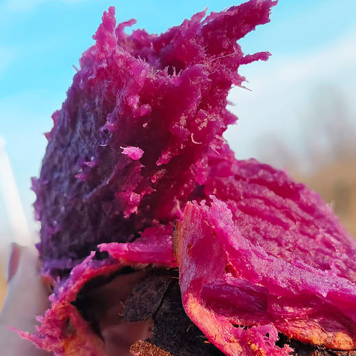 【溏心紫芋薯 4.5斤】超润不拔干，好像在吃紫薯奶油，满满花青素，为烤而生的紫薯，春夏秋冬减脂餐的颜值担当 商品图1