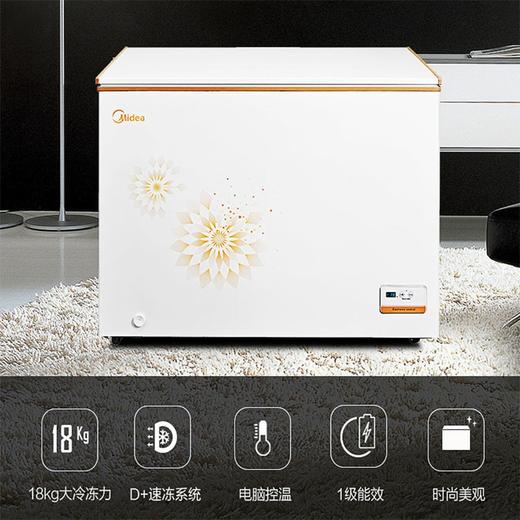 美的 BD/BC-303KEM 303升家用冰柜 便利店雪糕冷冻卧式冷藏冷柜 单温一室商用冰箱 商品图3