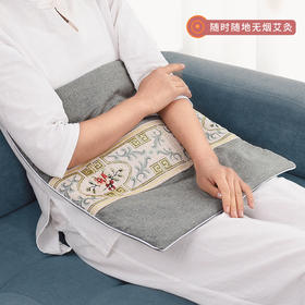 【推荐】少艾堂插电加热艾绒保暖坐垫（四色可选）