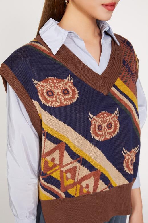 HAYES 复古文艺咖色猫头鹰针织马甲 9490 商品图3