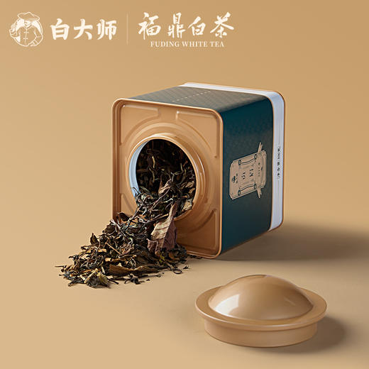 白大师2018年寿眉龙珠2019年陈皮白茶龙珠2019年贡眉散茶礼盒装 商品图12