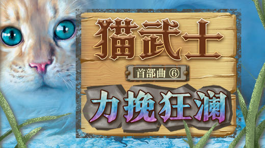 第37集 白风归天 商品图0