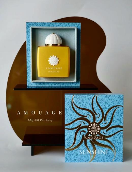 AMOUAGE爱慕史诗女士50ml男士回忆录迪亚黄金镜中倒影正装香水 商品图5