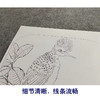 【大彩图】赵佶工笔画白描底稿宋画小品《戴胜图》戴胜鸟临摹勾线花鸟线稿GH16 商品缩略图4
