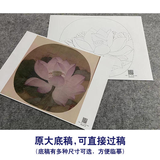 【大彩图】佚名工笔画白描底稿宋画小品《出水芙蓉图》荷花临摹勾线花鸟线稿GH01 商品图1