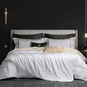 【黛富妮】蚕丝鹅绒被子母被