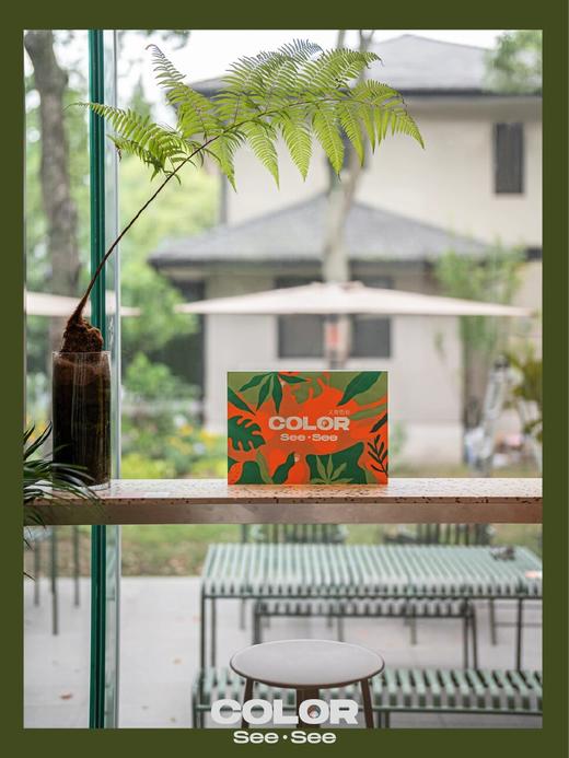 Color SeeSee色贴画 商品图2