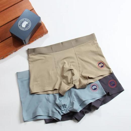 鹅家三条装60支精梳长绒棉内裤 商品图1