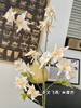 【琳琅】仿真多叉飞燕 商品缩略图8