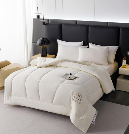 【品牌品质款】澳洲羊毛双层加厚锁温冬被单双人澳毛冬被芯 商品图1