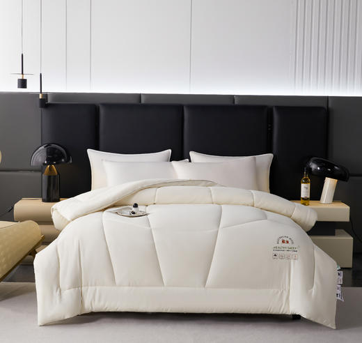 【品牌品质款】澳洲羊毛双层加厚锁温冬被单双人澳毛冬被芯 商品图0