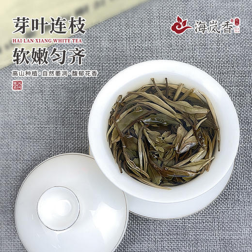 海岚香 白牡丹 散装白茶 雅风系列 50g*6盒/箱 商品图3