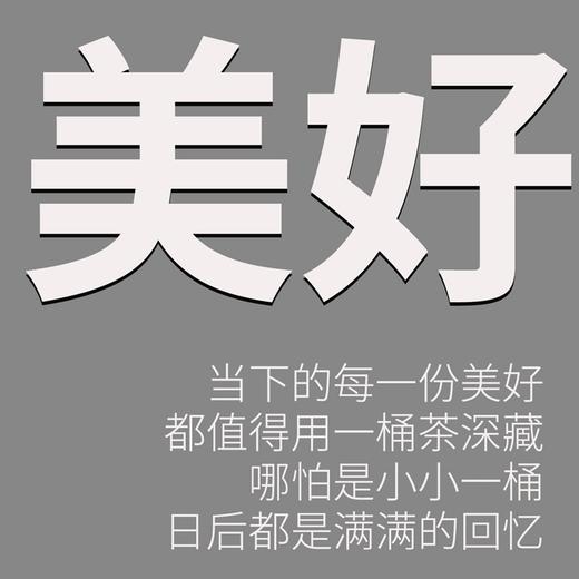 藏茶密室 私房武夷岩茶福鼎白茶 私人珍藏小罐装 商品图4