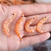 【海鲜干货！南极磷虾米】深海淡干磷虾皮红虾皮海鲜水产 干非特级特一级淡干虾米虾仁小海米山东南极磷虾磷虾肉正 商品缩略图1