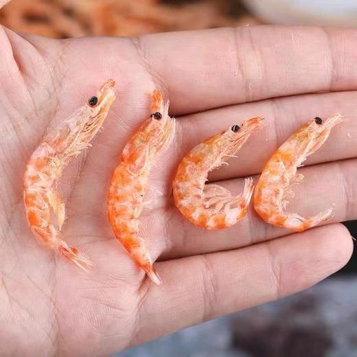 【海鲜干货！南极磷虾米】深海淡干磷虾皮红虾皮海鲜水产 干非特级特一级淡干虾米虾仁小海米山东南极磷虾磷虾肉正 商品图1
