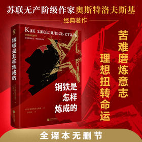 钢铁是怎样炼成的 全译本无删节