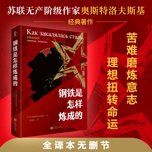 钢铁是怎样炼成的 全译本无删节 商品图0