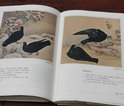 绝版毛边：《中国古代漆器》《明代鸽经 清代鸽谱》，精装，16开，王世襄著，三联书店2013年一版一印，两册售价198元，《明代鸽经  清代鸽谱》，单册98元。品相9成 商品图11